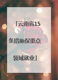 云南省15条措施保重点领域就业