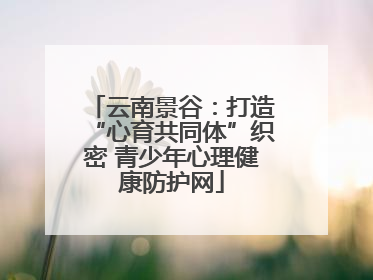 云南景谷：打造“心育共同体”织密 青少年心理健康防护网