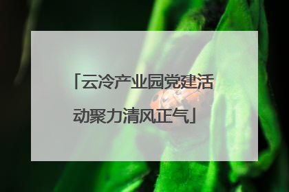云冷产业园党建活动聚力清风正气