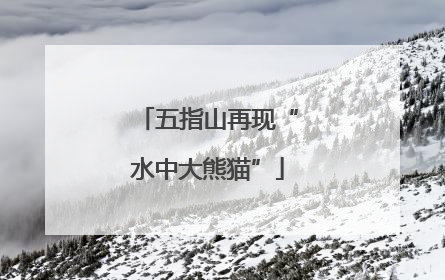 五指山再现“水中大熊猫”
