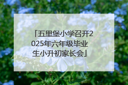 五里堡小学召开2025年六年级毕业生小升初家长会