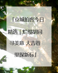 京城拍客今日精选｜烂缦胡同寻美意 大吉巷里探新标