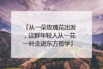 从一朵玫瑰花出发，这群年轻人从一花一叶走进东方哲学