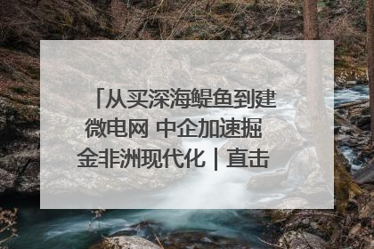 从买深海鳀鱼到建微电网 中企加速掘金非洲现代化｜直击中非经贸博览会