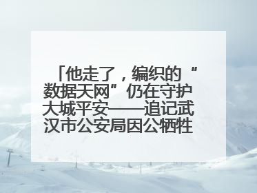 他走了，编织的“数据天网”仍在守护大城平安——追记武汉市公安局因公牺牲民警万松