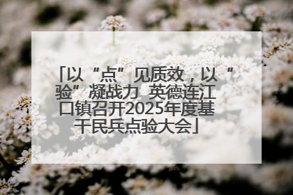 以“点”见质效，以“验”凝战力  英德连江口镇召开2025年度基干民兵点验大会