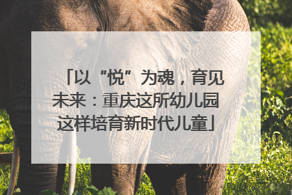 以“悦”为魂，育见未来：重庆这所幼儿园这样培育新时代儿童