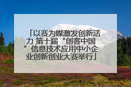 以赛为媒激发创新活力 第十届“创客中国”信息技术应用中小企业创新创业大赛举行
