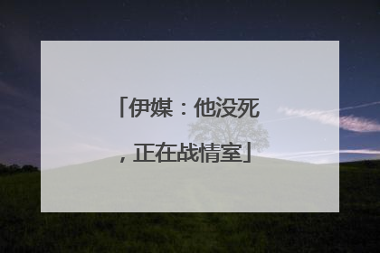 伊媒：他没死，正在战情室