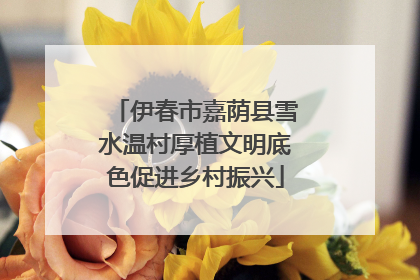伊春市嘉荫县雪水温村厚植文明底色促进乡村振兴