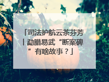 司法护航云茶芬芳丨勐腊易武“断案碑”有啥故事？