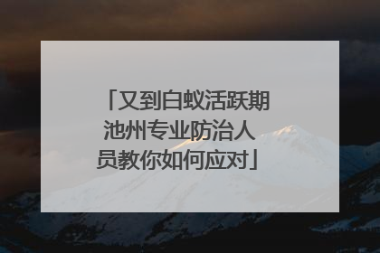 又到白蚁活跃期 池州专业防治人员教你如何应对