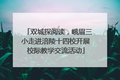 双城探阅读，峨眉三小走进涪陵十四校开展校际教学交流活动