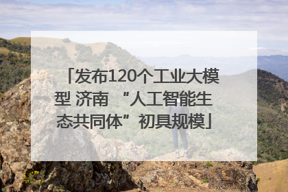 发布120个工业大模型 济南 “人工智能生态共同体”初具规模