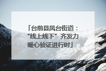 台前县凤台街道：“线上线下”齐发力 暖心验证进行时