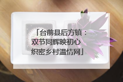台前县后方镇：双节同辉映初心 织密乡村温情网