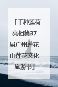 千种莲荷亮相第37届广州莲花山莲花文化旅游节