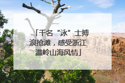 千名“泳”士搏浪抢滩，感受浙江温岭山海风情