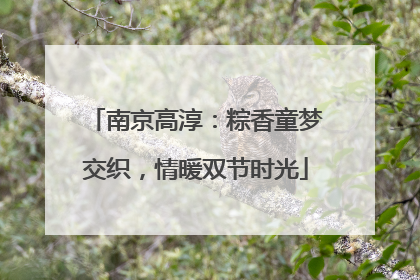南京高淳：粽香童梦交织，情暖双节时光