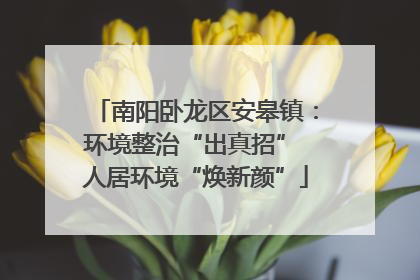 南阳卧龙区安皋镇：环境整治“出真招” 人居环境“焕新颜”