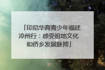 印尼华裔青少年福建漳州行：感受祖地文化和侨乡发展脉搏