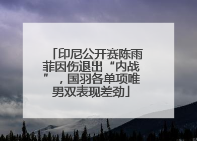 印尼公开赛陈雨菲因伤退出“内战”，国羽各单项唯男双表现差劲