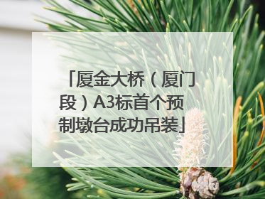 厦金大桥（厦门段）A3标首个预制墩台成功吊装