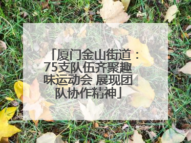 厦门金山街道：75支队伍齐聚趣味运动会 展现团队协作精神