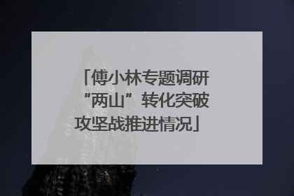 傅小林专题调研“两山”转化突破攻坚战推进情况