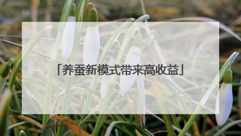 养蚕新模式带来高收益