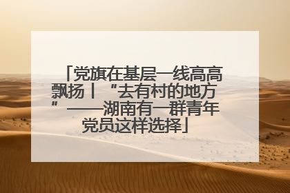 党旗在基层一线高高飘扬丨“去有村的地方”——湖南有一群青年党员这样选择