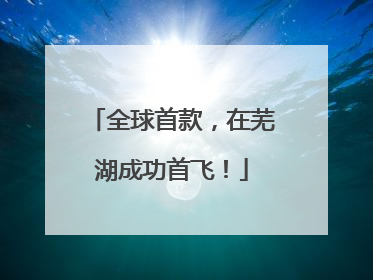 全球首款，在芜湖成功首飞！