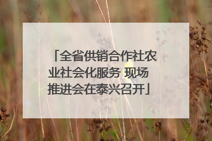 全省供销合作社农业社会化服务 现场推进会在泰兴召开