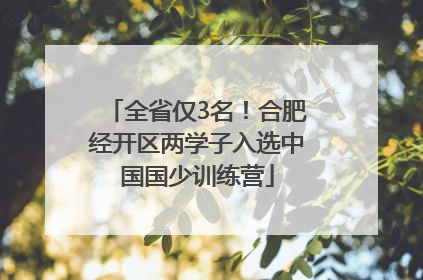 全省仅3名！合肥经开区两学子入选中国国少训练营