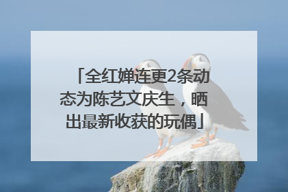 全红婵连更2条动态为陈艺文庆生，晒出最新收获的玩偶