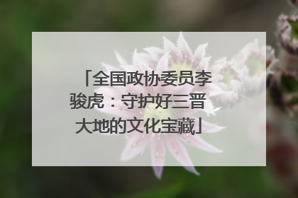 全国政协委员李骏虎：守护好三晋大地的文化宝藏