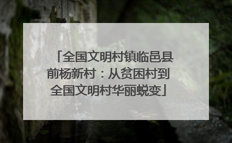 全国文明村镇临邑县前杨新村：从贫困村到全国文明村华丽蜕变