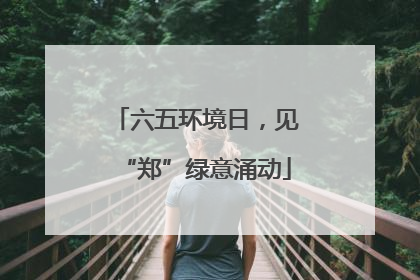 六五环境日，见“郑”绿意涌动