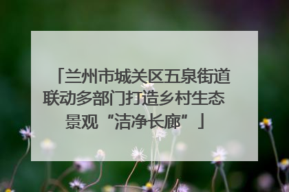 兰州市城关区五泉街道联动多部门打造乡村生态景观“洁净长廊”
