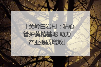 关岭白岩村：精心管护黄精基地 助力产业提质增效