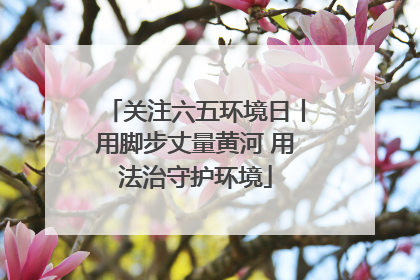 关注六五环境日丨用脚步丈量黄河 用法治守护环境