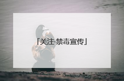 关注·禁毒宣传