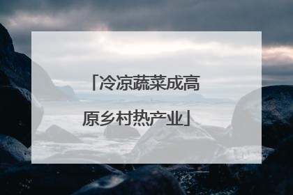 冷凉蔬菜成高原乡村热产业