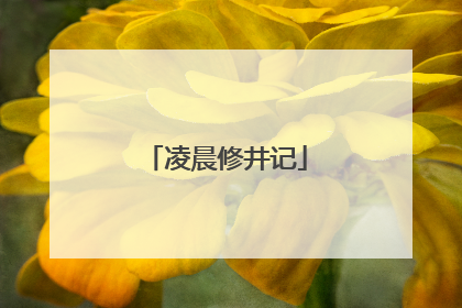凌晨修井记