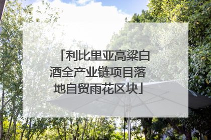 利比里亚高粱白酒全产业链项目落地自贸雨花区块