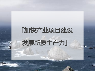 加快产业项目建设 发展新质生产力