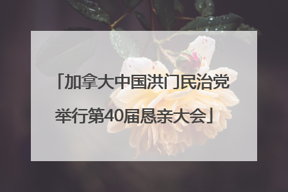 加拿大中国洪门民治党举行第40届恳亲大会