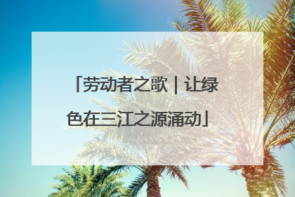 劳动者之歌｜让绿色在三江之源涌动