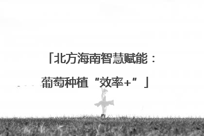 北方海南智慧赋能：葡萄种植“效率+”