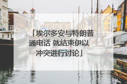 埃尔多安与特朗普通电话 就结束伊以冲突进行讨论
